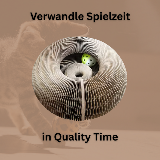 ScratchLoop - MySchleo